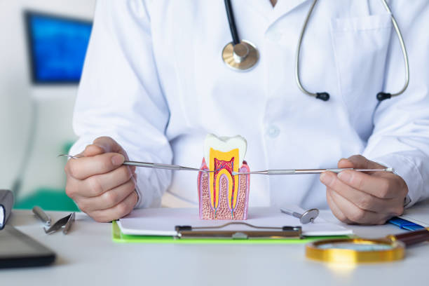 Best Pediatric Emergency Dentist in Silver Hill, MD